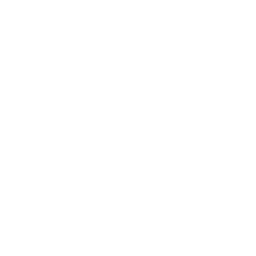 apple icon